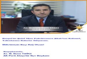 Milletimizin Başı Sağ Olsun!